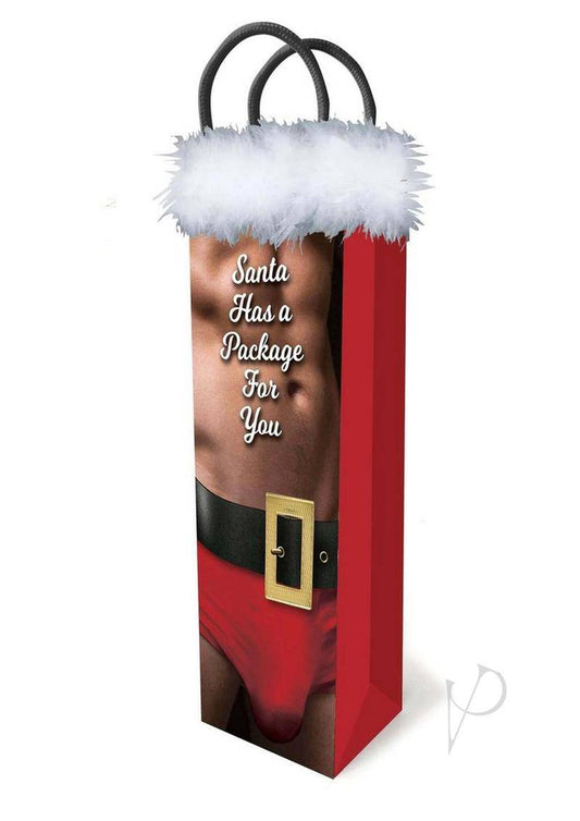Santa Has A Big Package For You Gift Bag - Chambre Rouge