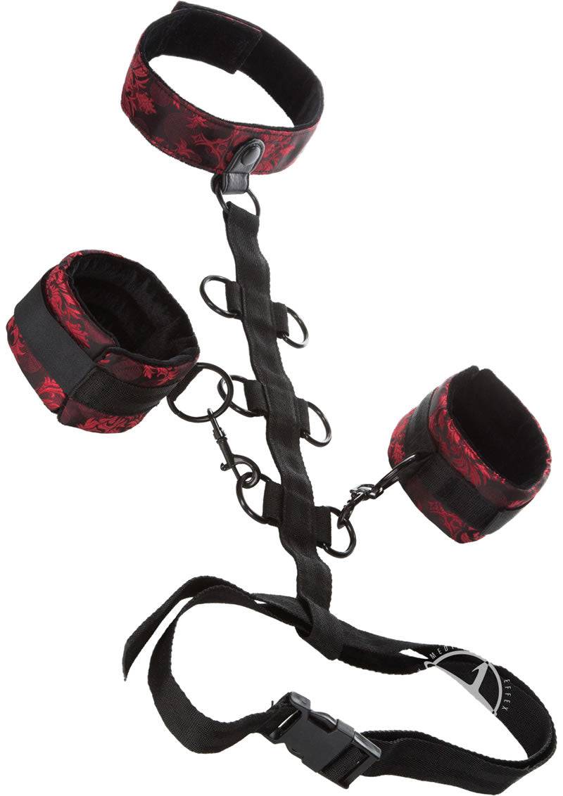 Scandal Collar Body Restraint-1