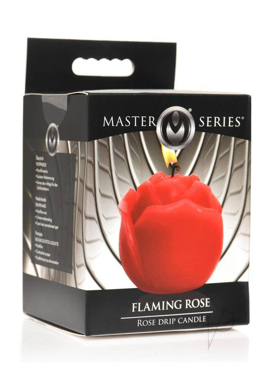 Ms Flaming Rose Rose-0
